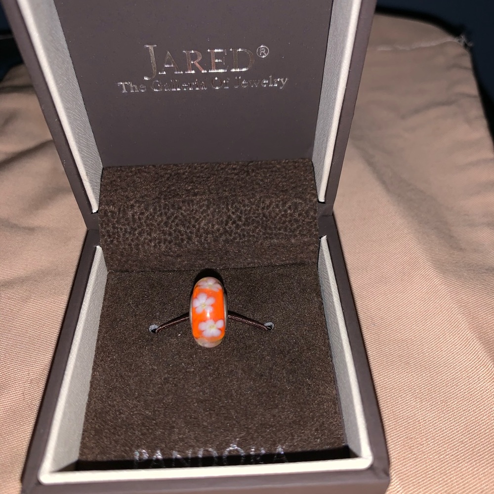 Authentic Pandora Charm